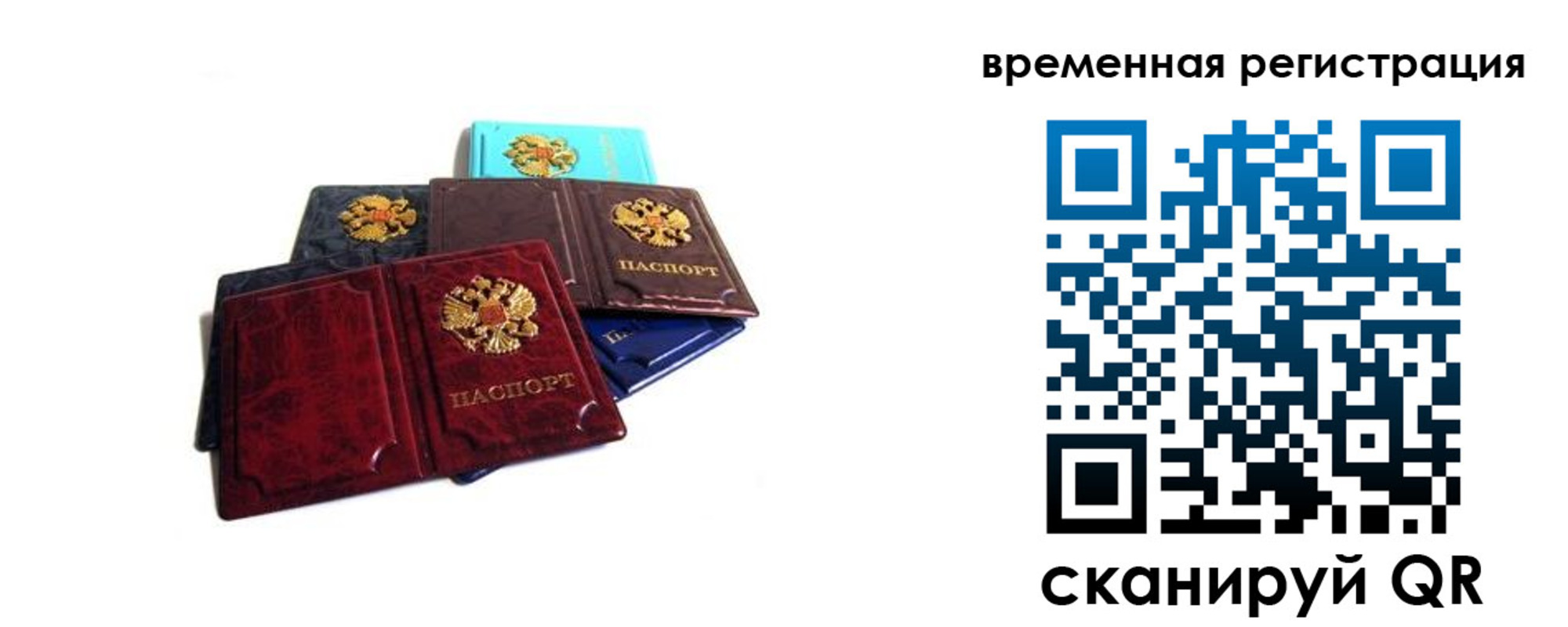 прописка гарантия в Чернушке